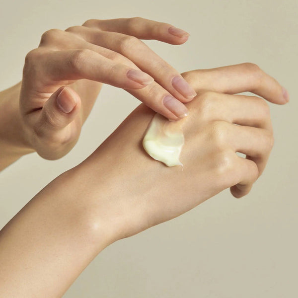TORRIDEN SOLID-IN Ceramide Cream (70ml) - Kiyoko Beauty